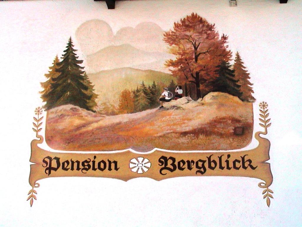 Pension Bergblick Bayerisch Eisenstein Zewnętrze zdjęcie